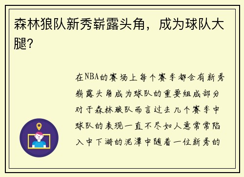 森林狼队新秀崭露头角,成为球队大腿?